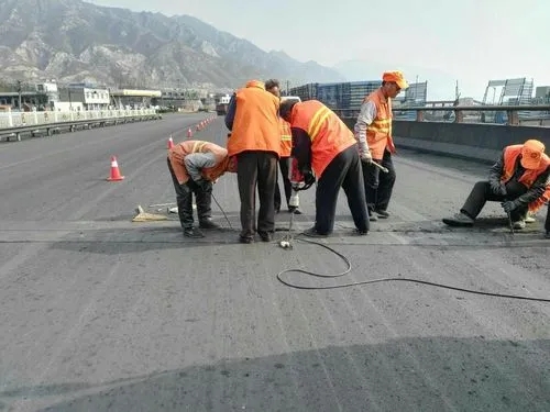 洮北道路桥梁病害治理